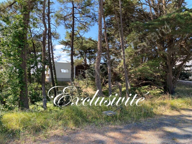 Parcelle à bâtir 540 m² dans les pins