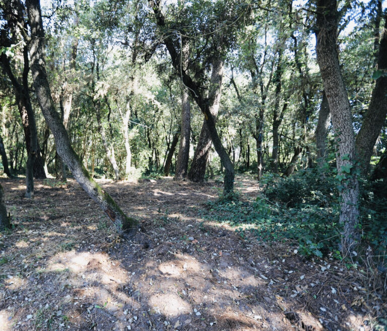 OPPORTUNITÉ RARE – Terrain constructible