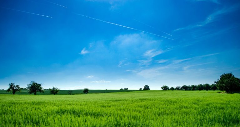 VAIRE – TERRAIN VIABILISÉ DE 520 M2