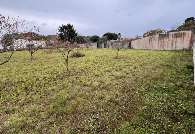 Terrain constructible de 735 m2 à proximité de sauveterre