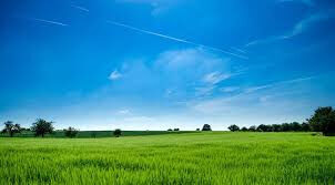 Terrain 1500m2 secteur LE FENOUILLER