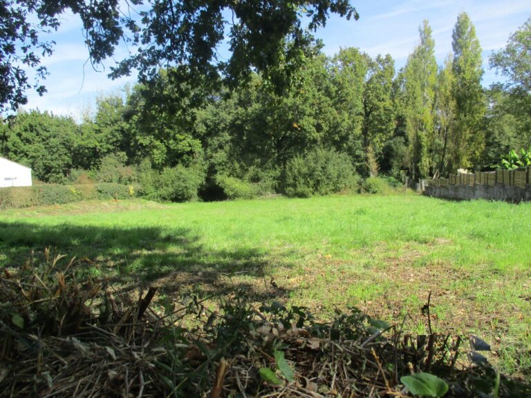 Terrain à Bâtir